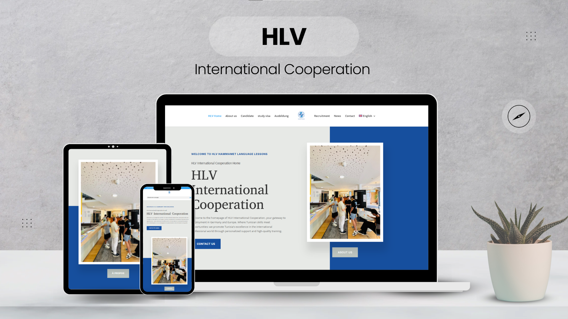 HLV International Cooperation